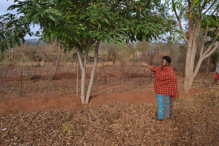 Makaa shows her garden, where she previously used to personally till and build terraces