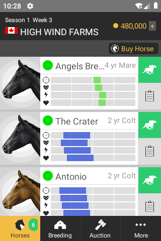 Turf Dynasty: Horse Racing screenshots 2