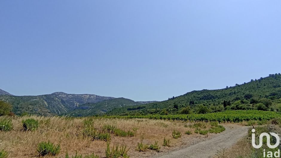 Vente terrain  4901 m² à Embres-et-Castelmaure (11360), 95 000 €