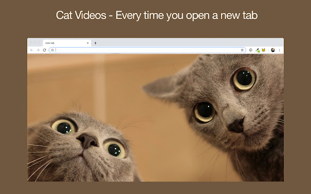 Meow Meow Woof chrome extension