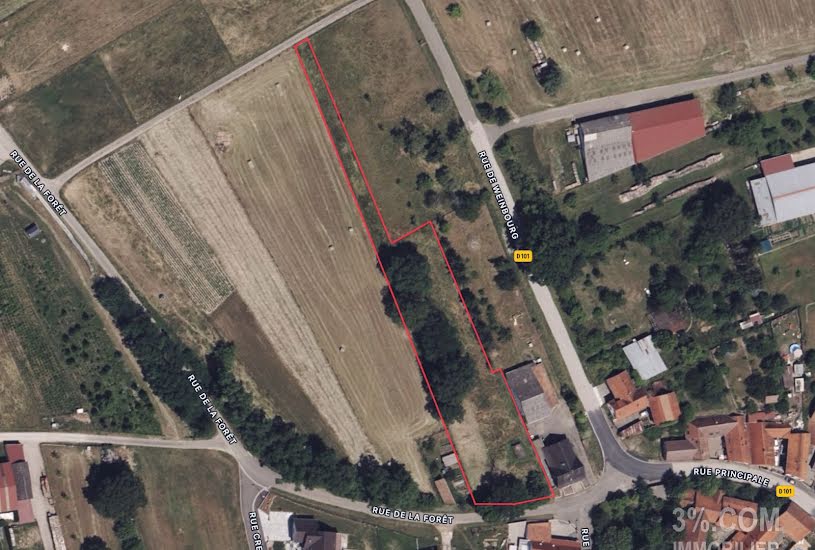  Vente Terrain à bâtir - 2 682m² à Ingwiller (67340) 