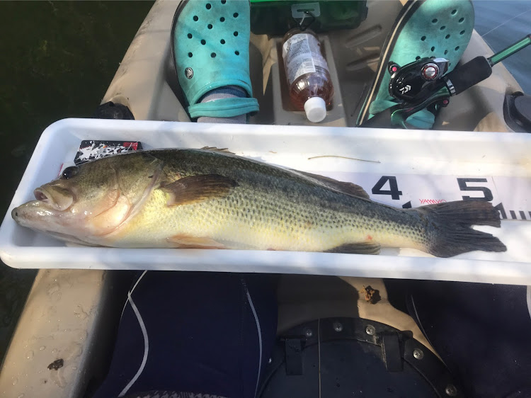 レガシィツーリングワゴンのバス釣り・釣りチューンに関するカスタム事例の投稿画像2枚目