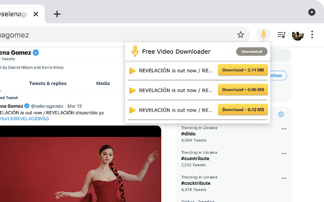 Free Video Downloader