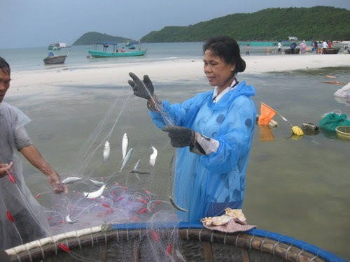 Bãi Khem Phú Quốc vào mùa cá trích đặc sản 2