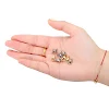 miniatures image - 8