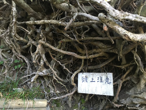 頭上注意