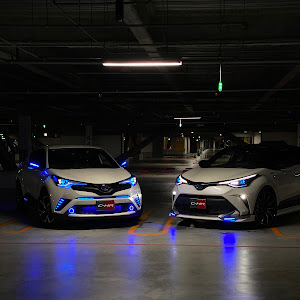 C-HR ZYX10