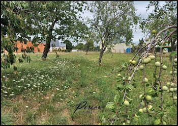 terrain à Baugé-en-Anjou (49)