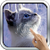 Interactive Kitten icon