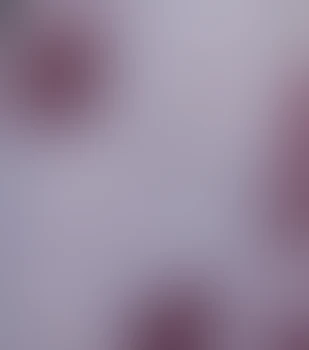 ももあお