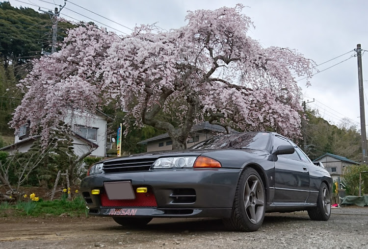 スカイライン GT-Rのケンメリ・サニトラ・スカイライン・桜・旧車に関するカスタム事例の投稿画像5枚目