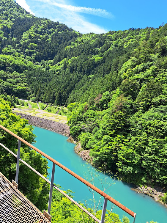 の投稿画像16枚目