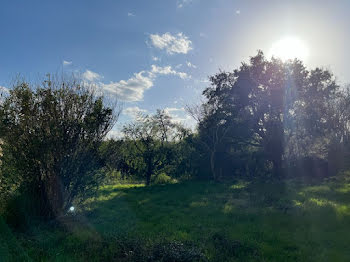 terrain à Rion-des-Landes (40)