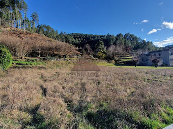 terrain à Bessèges (30)