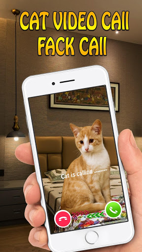 Screenshot cat call you - fake video call