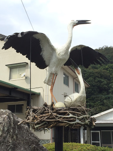 コウノトリの夫婦