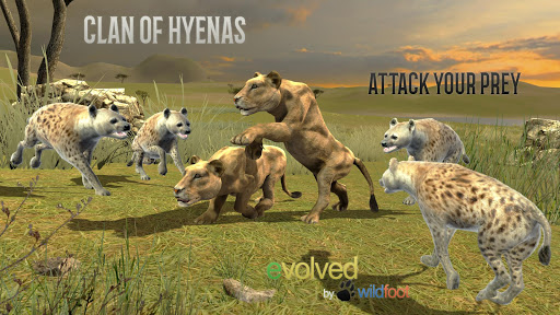 Clan of Hyena