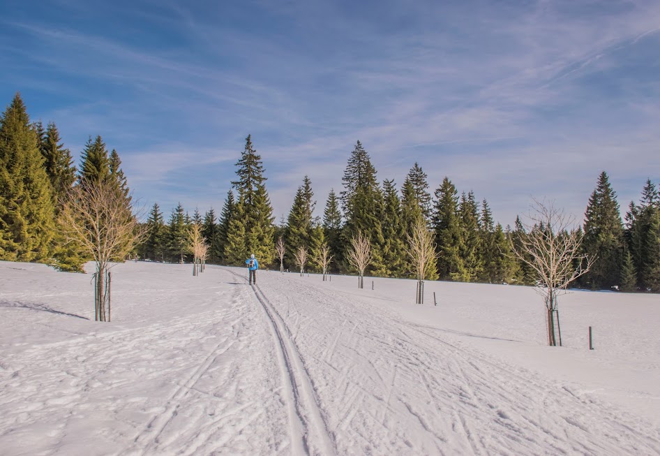 Tsjechië-wintersport