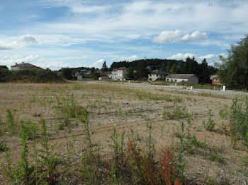 terrain à Sainte-Sigolène (43)