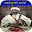 جديد اغاني الرايس الحاج بلعيد بدون نت Download on Windows