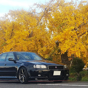 スカイライン ENR34