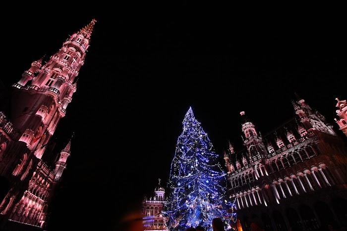 FLANDES EN NAVIDAD - Blogs de Belgica - SEGUNDO DIA. VIERNES 30 DE NOVIEMBRE. BRUSELAS (31)