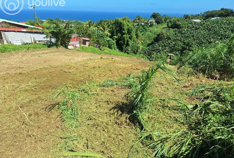  Vente Terrain à bâtir - à Le Lorrain (97214) 