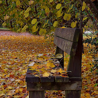 Tappeto autunnale di 