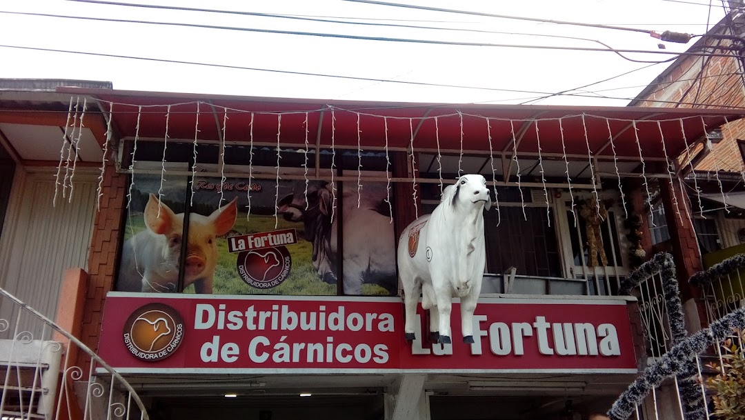 DISTRIBUIDORA DE CARNES LA FORTUNA - Carnicerías - Carne de Res, Cerdo, Pollo - Chorizos - Arepas