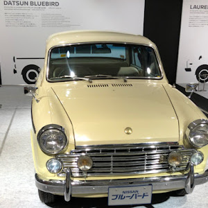 リーフ ZE1