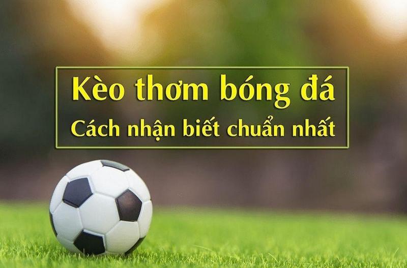 Cách nhận biết kèo thơm