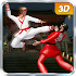 Karate Fighting Kung Fu Tiger2.3