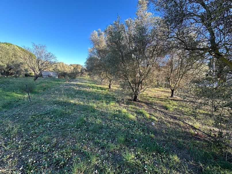 Vente terrain  687 m² à Roquebrune-sur-Argens (83520), 270 000 €