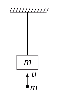 Elastic and Inelastic Collision