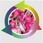 Cover Image of Tải xuống Red Onion Farmers Succeed 2.0 APK