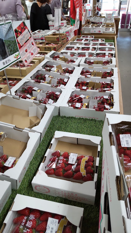 セリカのステップワゴンスパーダ・古都華・苺に関するカスタム事例の投稿画像2枚目