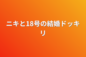 ニキと18号の結婚ドッキリ