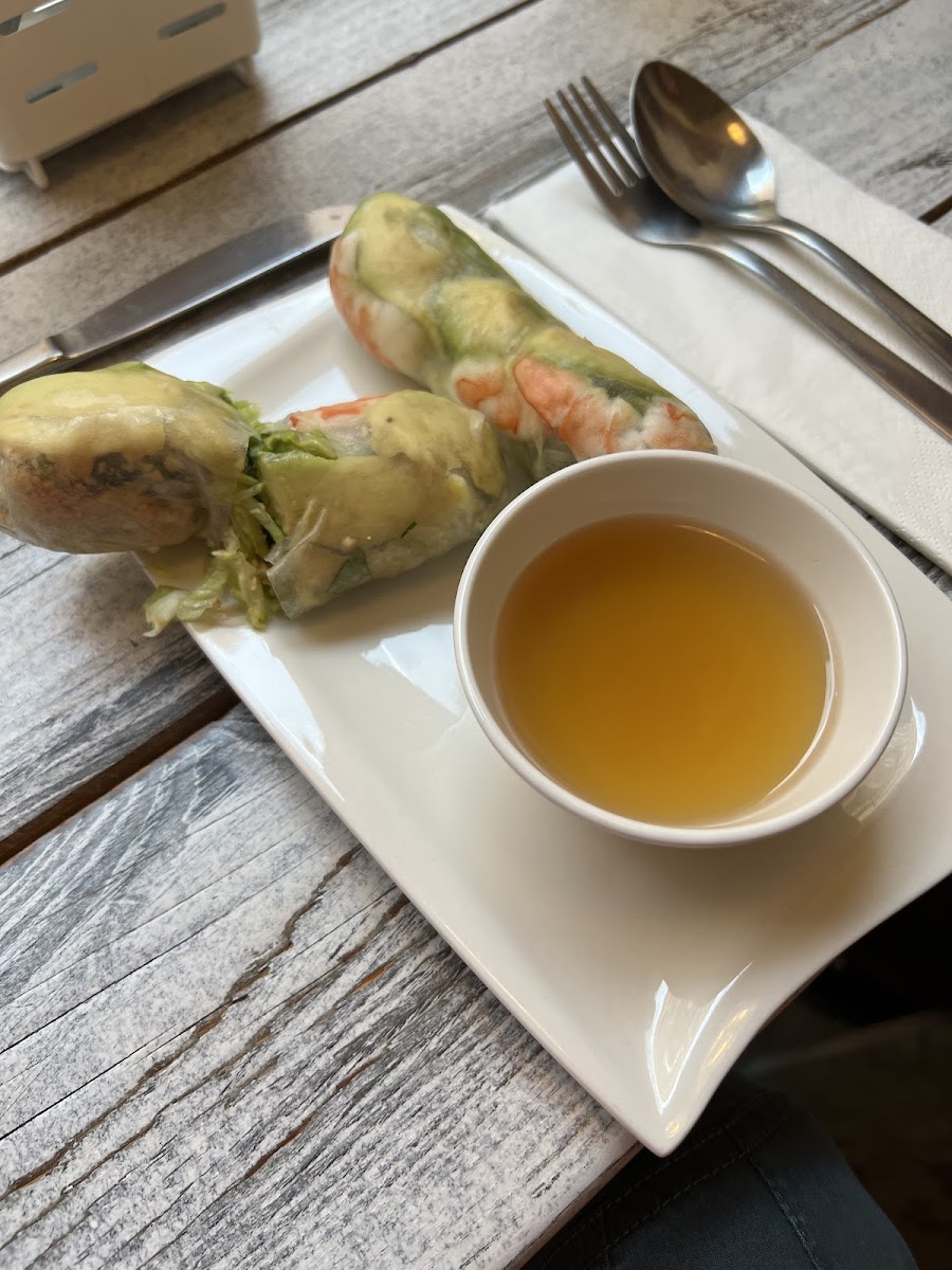 Summer rolls with avocado and shrimp