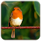 Item logo image for Red Robin