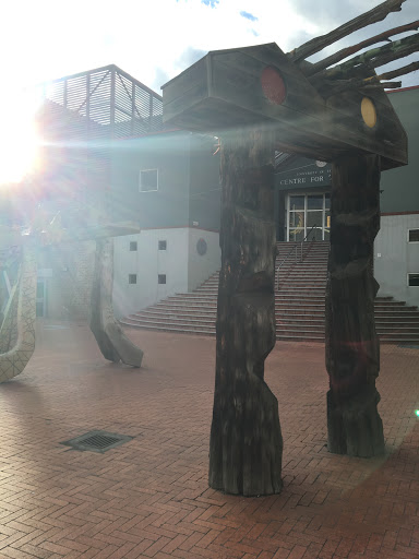 Courtyard of the Tasmanian Sch