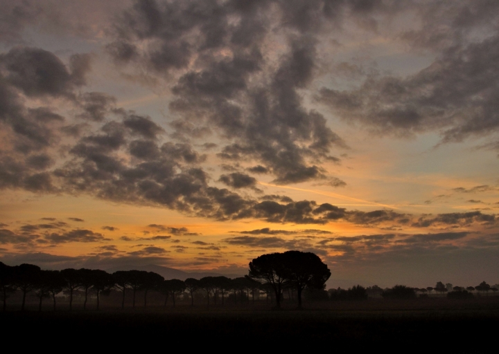 Una mattina d'ottobre di Andrea Frati