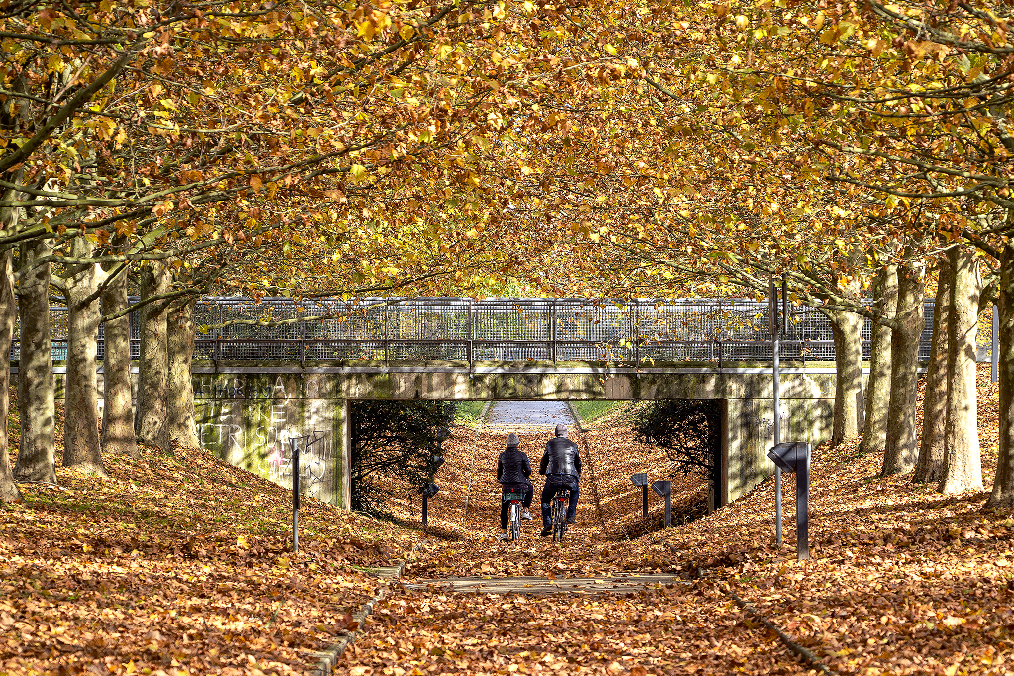 Il parco d'autunno di alagnol