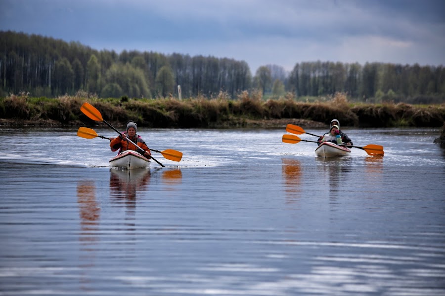 Biebrza, spływ, tratwa nad Biebrza, kajaki