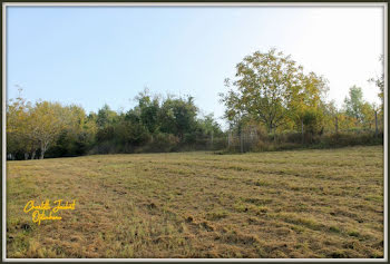 terrain à Chalais (16)