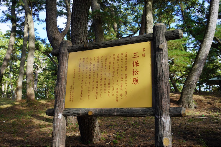 RAV4の日本平夢テラス・三保松原・雅正庵・静岡ドライブ旅行・まだまだ残暑が厳しいに関するカスタム事例の投稿画像2枚目