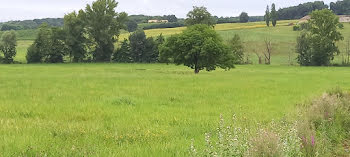 terrain à Saint-Michel-de-Montaigne (24)