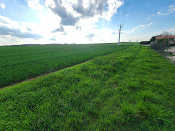 terrain à Saint-Martin-la-Pallu (86)