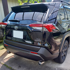 RAV4 MXAA54