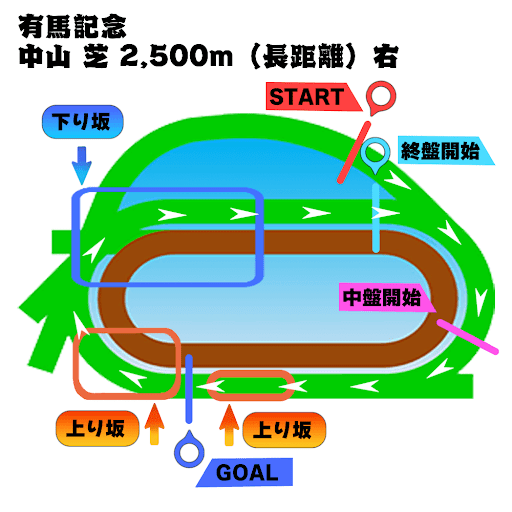 有馬記念_俯瞰図