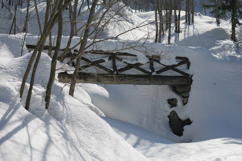 NEVE???SI NE ABBIAMO!!! di Migliaccio G.14054